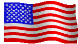 flagwaving.jpg